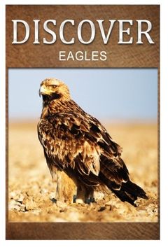 portada Eagles - Discover: Early reader's wildlife photography book