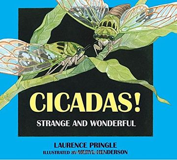 portada Cicadas! Strange and Wonderful (in English)
