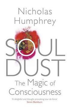 portada soul dust: the magic of consciousness
