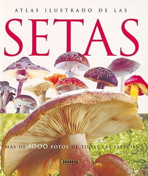 portada Atlas Ilustrado de las Setas (in Spanish)