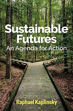 portada Sustainable Futures: An Agenda for Action (en Inglés)