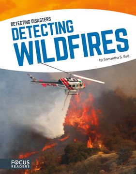 Detecting Wildfires (en Inglés)