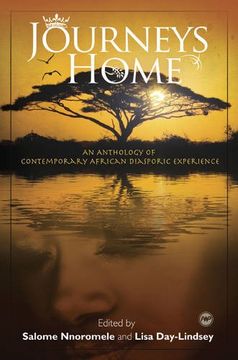 portada Journeys Home: An Anthology of Contemporary African Diasporic Experience (en Inglés)