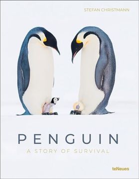 portada Penguin: A Story of Survival (in English)