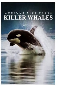 portada Killer Whales - Curious Kids Press (en Inglés)