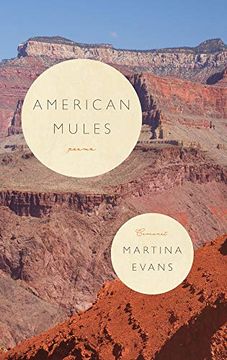 portada American Mules (in English)