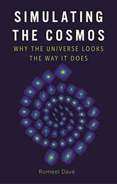 portada Simulating the Cosmos: Why the Universe Looks the Way It Does (en Inglés)