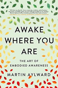 portada Awake Where you Are: The art of Embodied Awareness (in English)