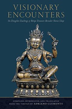portada Visionary Encounters: The Dzogchen Teachings of Bönpo Treasure-Revealer Shense Lhaje (in English)