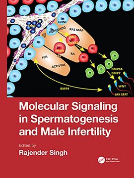 portada Molecular Signaling in Spermatogenesis and Male Infertility (en Inglés)