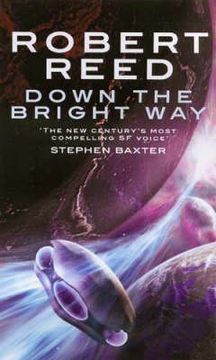 portada Down the Bright way