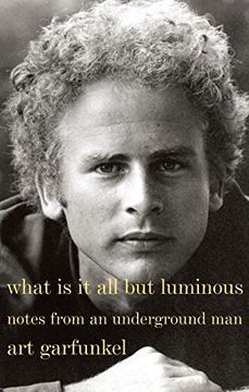 portada What is it all but Luminous (in English)