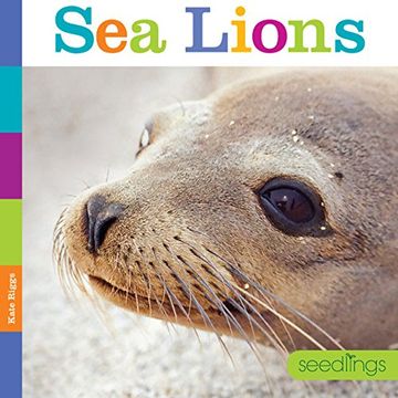 portada Seedlings: Sea Lions