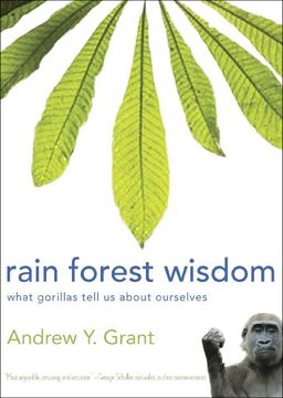 portada Rain Forest Wisdom: What Gorillas Tell Us About Ourselves