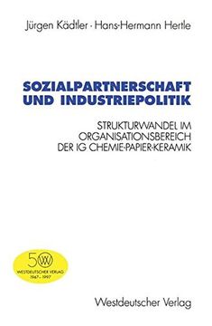 portada sozialpartnerschaft und industriepolitik (en Inglés)