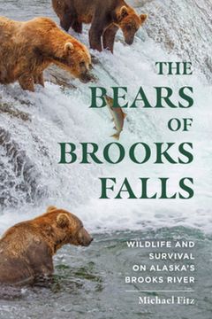 portada The Bears of Brooks Falls: Wildlife and Survival on Alaska'S Brooks River 