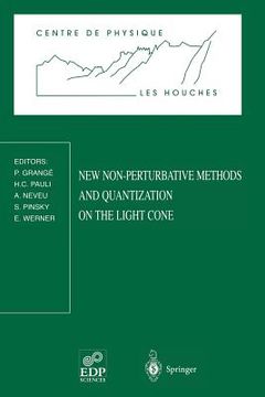 portada new non-perturbative methods and quantization on the light cone: les houches school, february 24 - march 7, 1997