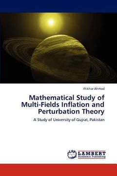 portada mathematical study of multi-fields inflation and perturbation theory