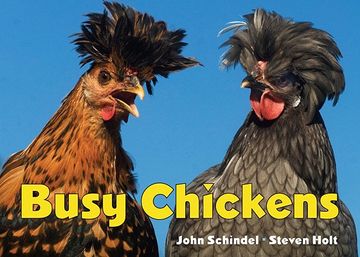 portada Busy Chickens (en Inglés)