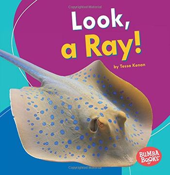 portada Look, a Ray! (Bumba Books: I See Ocean Animals)