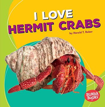 portada I Love Hermit Crabs (Bumba Books: Pets Are the Best)