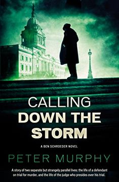 portada Calling Down the Storm (Ben Schroeder)