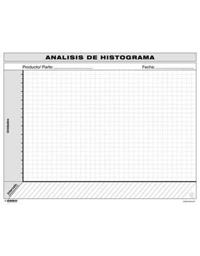portada Vsm Histogram Analysis (Spanish) (en Inglés)