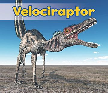 portada Velociraptor (Acorn: All about Dinosaurs)