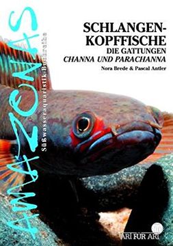 portada Art für Art: Schlangenkopffische: Amazonas / Die Gattungen Channa und Parachanna (in German)