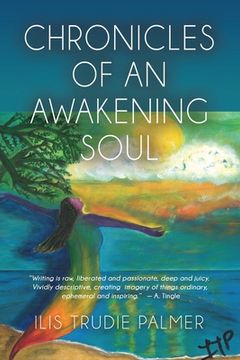 portada Chronicles of an Awakening Soul (in English)