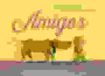 portada Amigos