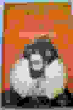 Comprar Reyes Que Amaron Como Reinas De Julio César Al Duque De