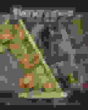 283365_7