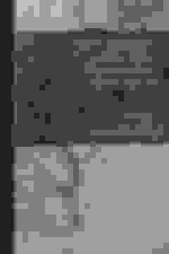 Comprar Memorias del Coronel Juan Crisóstomo Centurión Ó sea