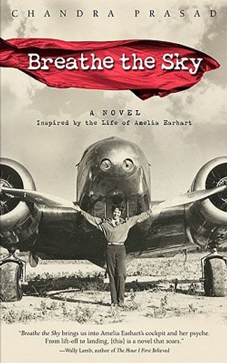 breathe the sky,a novel inspired by the life of amelia earhart