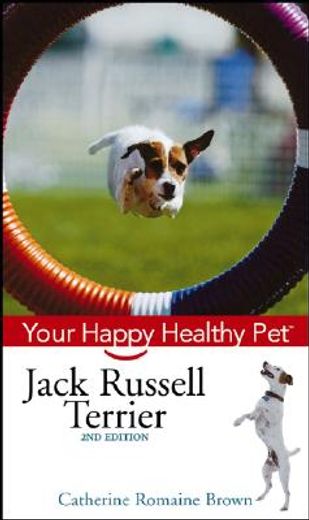 jack russell terrier (en Inglés)
