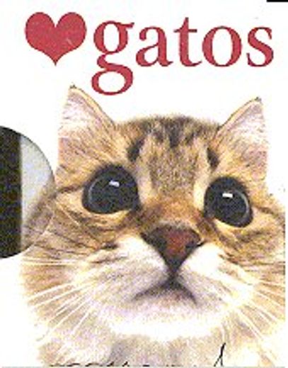 Gatos (Accuarel)