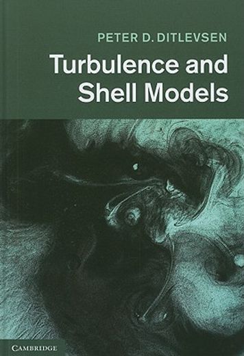 turbulence and shell models