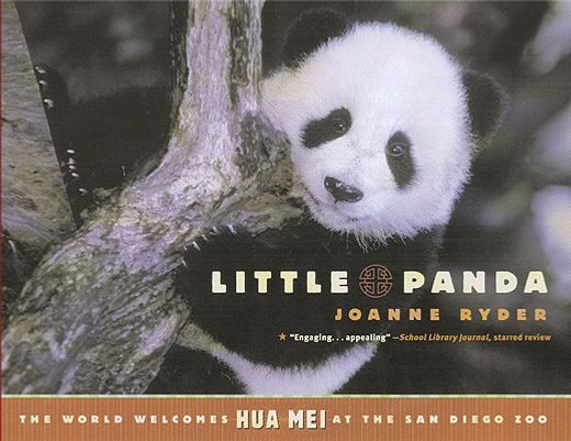 little panda,the world welcomes hua mei at the san diego zoo (en Inglés)