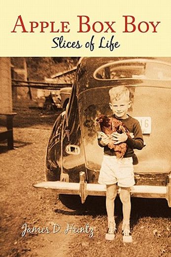 apple box boy,slices of life (in English)