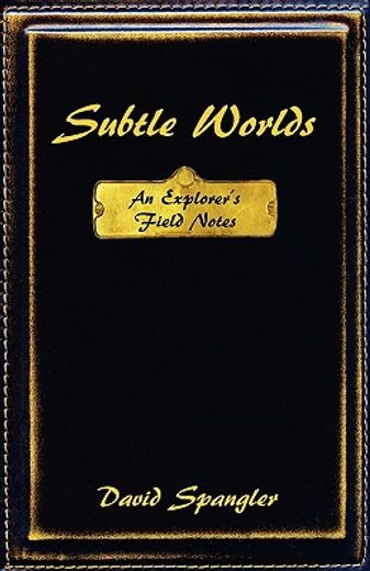 subtle worlds: an explorer ` s field notes (in English)