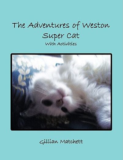 adventures of weston super cat with activities