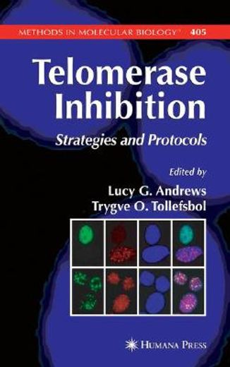 telomerase inhibition,strategies and protocols