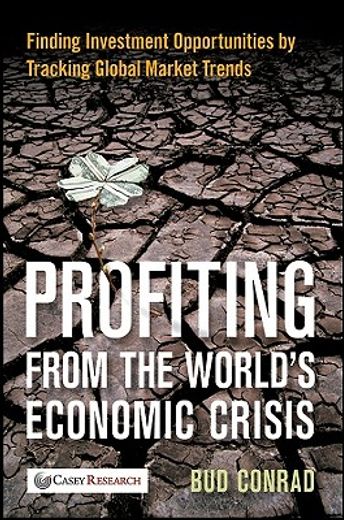 profiting from the world´s economic crisis,how to track global market trends and discover hidden investment (en Inglés)
