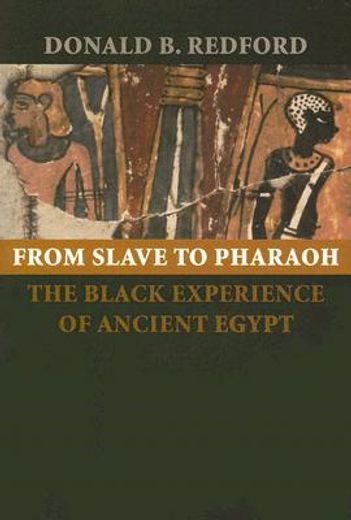 from slave to pharaoh,the black experience of ancient egypt
