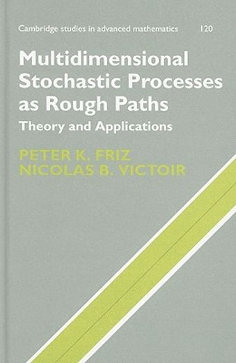 multidimensional stochastic processes as rough paths,theory and applications