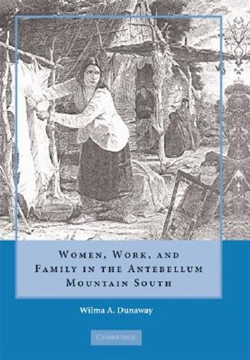 women, work and family in the antebellum mountain south (en Inglés)