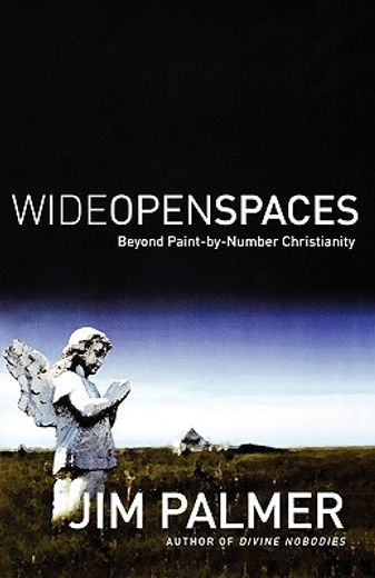 wide open spaces (en Inglés)