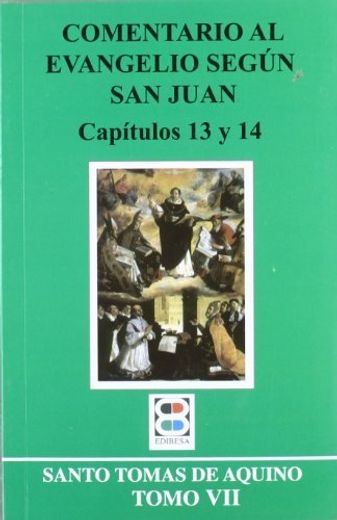 Comentario al evangelio según san Juan: Tomo VIII (CRITICA Y COMENTARIOS)