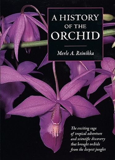 a history of the orchid